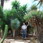 prof. Leszek Kozioł wśród palm i kaktusów w ogrodzie botanicznym