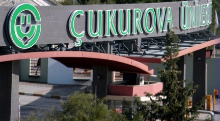 cukurova university