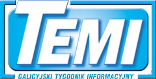 logo temi