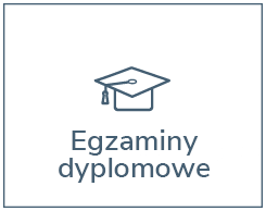 Egzaminy dyplomowe - baner-link